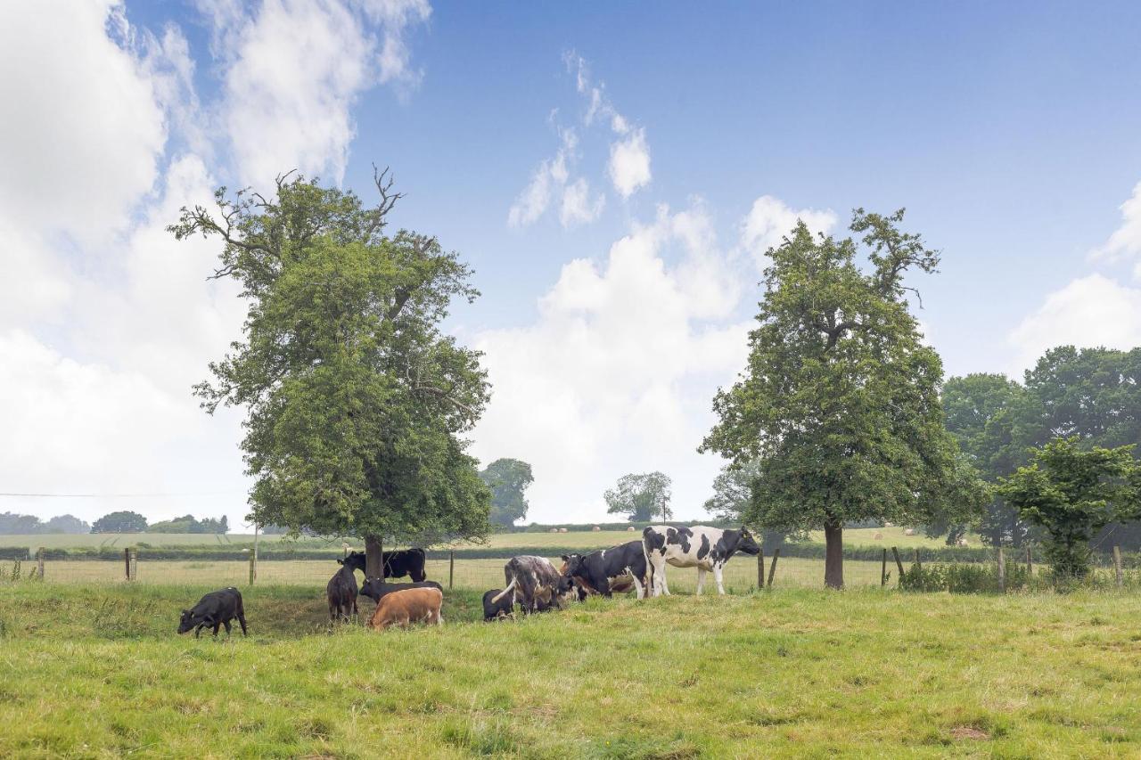 Villa Meadow Lea Leominster Esterno foto